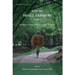 How Do Small Farmers Fare? – Evidence from Village Studies in India