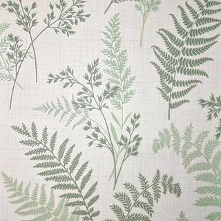 Albany Wallpaper Fern FD43769