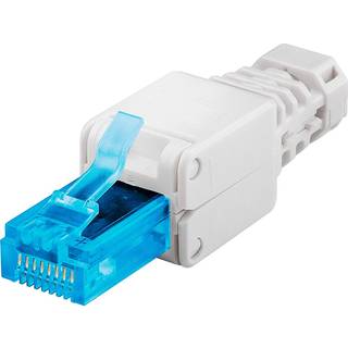 RJ45 stik Cat6a UTP