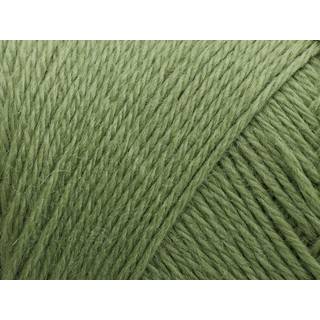 Arwetta Fv. 243 Basswood Green