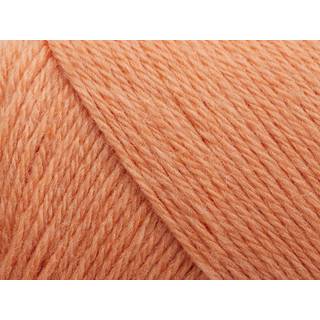 Arwetta coral [254]