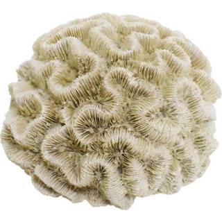 Akvariedekoration CORAL