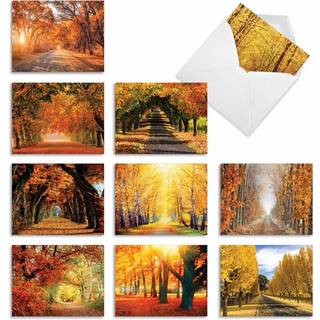 Det bedste kortfirma - 10 smukke notekort tomme (4 x 5,12 tommer) - Efter?r og efter?rss?son boksede notecard sortiment - Efter?rsl?v M4971OCB -B