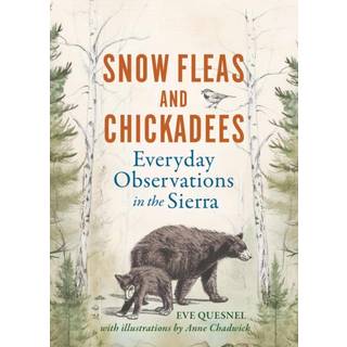 Snow Fleas and Chickadees