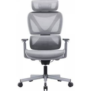 MaxMount SpineX V2 Ergonomisk Kontorstol - Grå