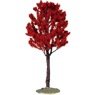 Baldcypress Tree Medium