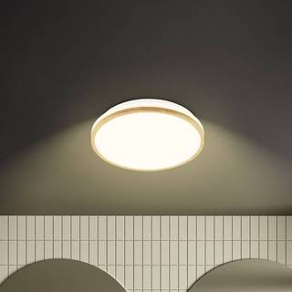 LED-loftlampe Acorus, Ø 28 cm, hvid/træfarvet, IP44