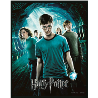 HARRY POTTER - Order of the Phoenix - 3D Lenticular Poster 26X4