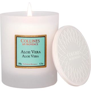 Candle Aloe Vera | 180 g | Collines de Provence