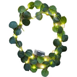 Salling lyskæde med eucalyptus 2 meter - grøn (På lager i butik)