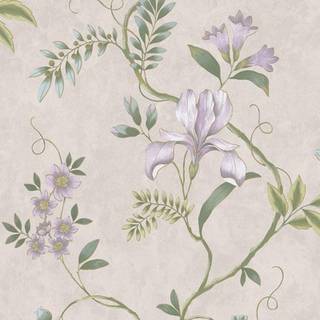 Albany Wallpaper Dancing Iris 100111