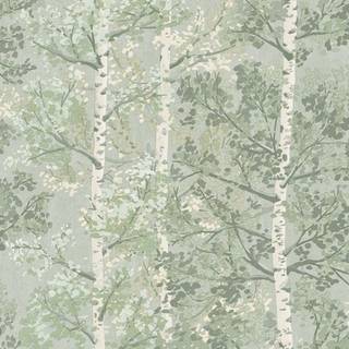 Albany Wallpaper Silverwood 100203