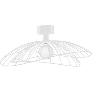 Globen Lighting Ray Væg/Loftlampe Hvid