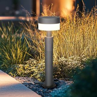 Trio Lighting - Mackenzie 50cm - Pullerter