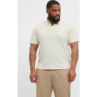 Plus Size Polo