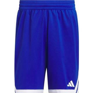 3G Speed Reversible Basketball AEROREADY shorts - Royal Blue / White - M