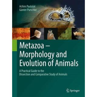 Metazoa – Morphology and Evolution of Animals