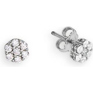 Palido Ohrstecker - K13824W - silber