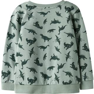 NAME IT Sweatshirt Vifelix Jadeite