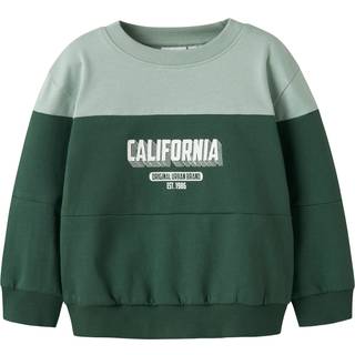 NAME IT Sweatshirt Vemil Garden Topiary California
