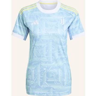Juventus 25/26 udebanetrøje - Ash Blue - XL
