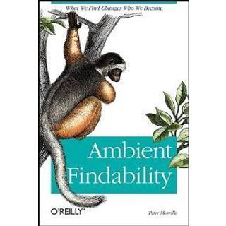 Ambient Findability