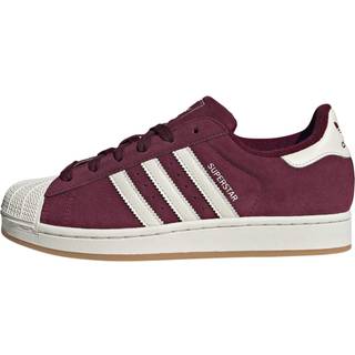 SUPERSTAR SKO - Maroon / Off White / Off White - 40 2/3