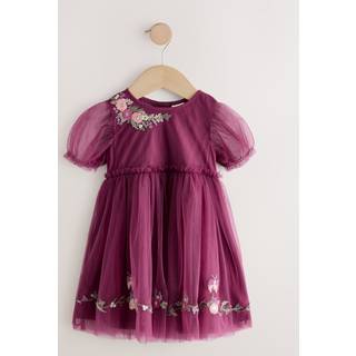 Next Berry Red Embroidered Mesh Party Dress (3mths-8yrs) - 104-110cm (4-5 Years)