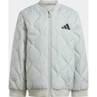adidas adidas Grey Jacket