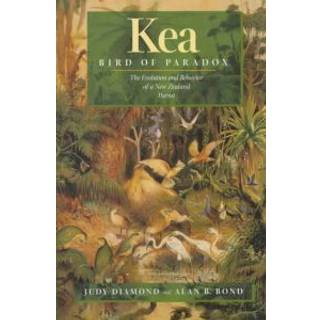 Kea, Bird of Paradox