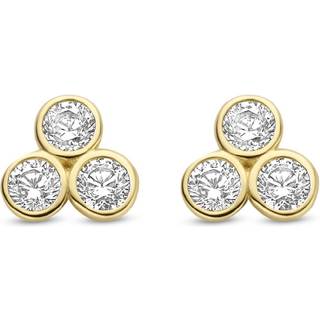 Schneider Basic Ohrstecker - ZS113 - gold