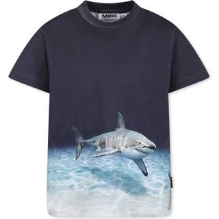 Molo Roxo T-shirt Faded Shark 92 cm  Marineblå  92 cm  mand