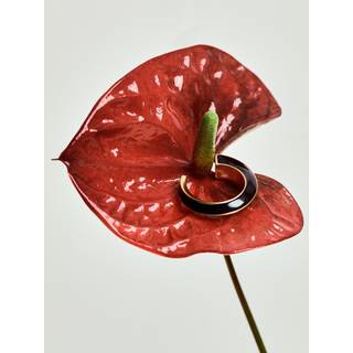 Reiss Reiss Thalia Tone Twist Emalje Hoop Øreringe