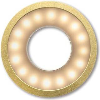 Paper Shoot Ringlys  guld