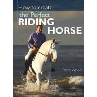 How to Create the Perfect Riding Horse