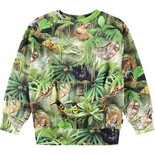 Molo Mattis Sweatshirt Jungle Animals 152 cm  Grøn  152 cm  mand