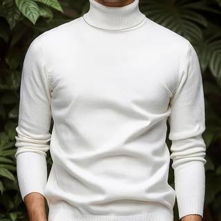 TEMU Men's Casual Solid Color Turtleneck Sweater - Knit Long Sleeve Pullover For Fall Winter, Regular Fit Solid Color Versatile Top, Winter , Classic Collar Design, Comfortable Winter Wear