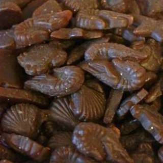 Candy Salte Søskaller Sukkerfri 1 kg ca. 230 stk.
