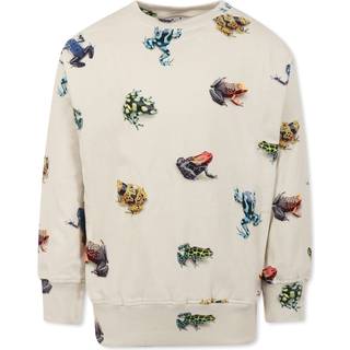 Molo Mattis Sweatshirt Vibrant Frogs 92 cm  Beige  92 cm  mand