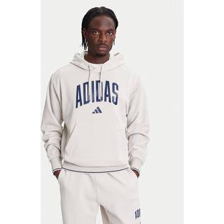 adidas adidas Grey Collegiate Hoodie