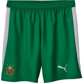 PUMA SK Rapid Wien 25/26 Shorts Men, Sport, White/Sport Green, L