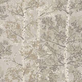 Albany Wallpaper Silverwood 100227