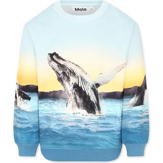 Molo Monti Sweatshirt Whale Jump 104cm  Blå  104 cm  mand