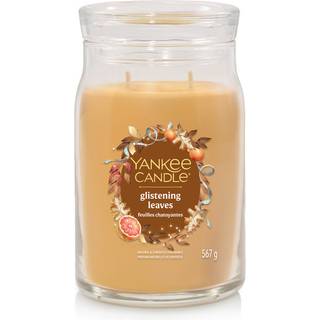Glistening Leaves