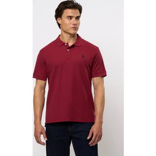Alfred Polo - U.S. Polo Assn - Herre - XL