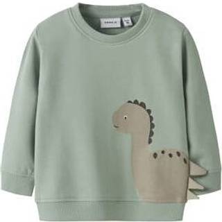 Dinosaur- Sweatshirt