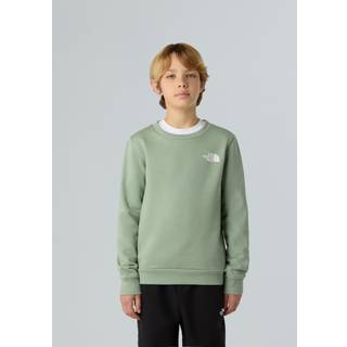 The North Face The North Face Green Simple Teen Dome Sweatshirt