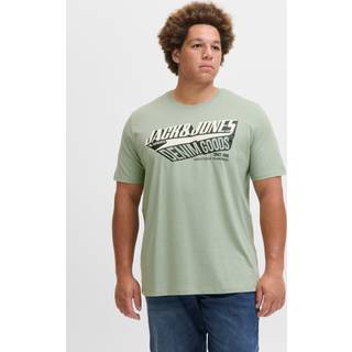Plus Size Logo T-shirt