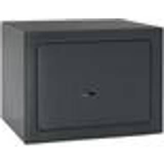 Skab med lås Grå 17 x 23 x 17 cm Stål