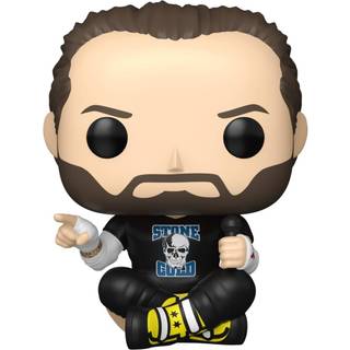 WWE POP! Vinyl Figure CM Punk 9 cm